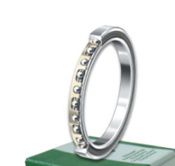 INA CSCA065 bearings